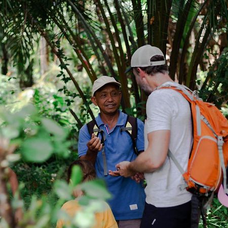 Ambow Homestay Jungle Trekking & Village Tour Bukit Lawang Bagian luar foto