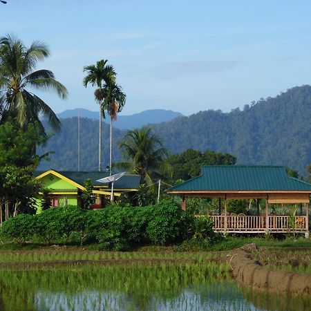 Ambow Homestay Jungle Trekking & Village Tour Bukit Lawang Bagian luar foto