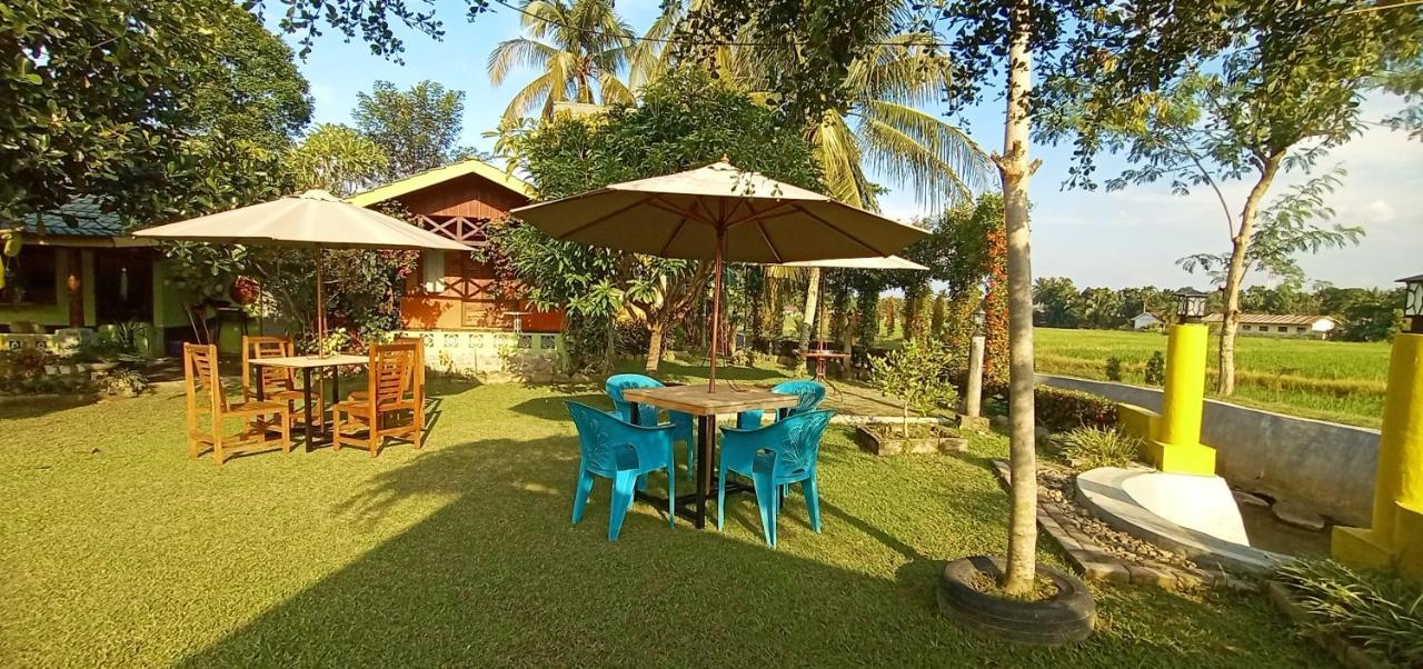 Ambow Homestay Jungle Trekking & Village Tour Bukit Lawang Bagian luar foto