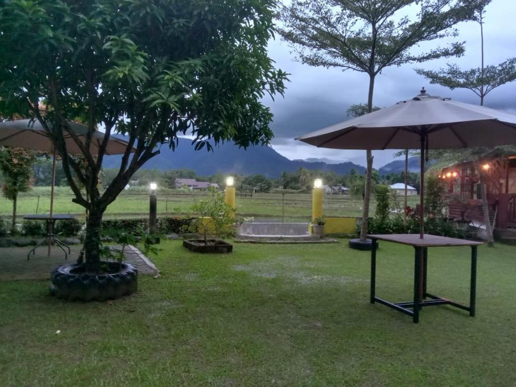 Ambow Homestay Jungle Trekking & Village Tour Bukit Lawang Bagian luar foto