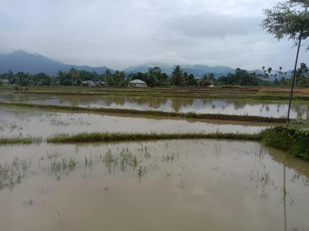 Ambow Homestay Jungle Trekking & Village Tour Bukit Lawang Bagian luar foto