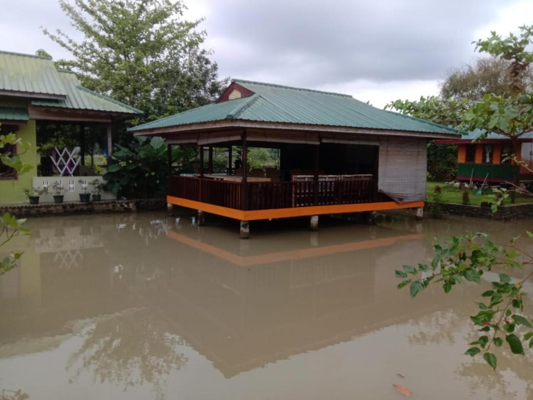 Ambow Homestay Jungle Trekking & Village Tour Bukit Lawang Bagian luar foto