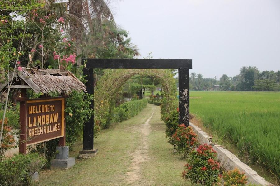 Ambow Homestay Jungle Trekking & Village Tour Bukit Lawang Bagian luar foto