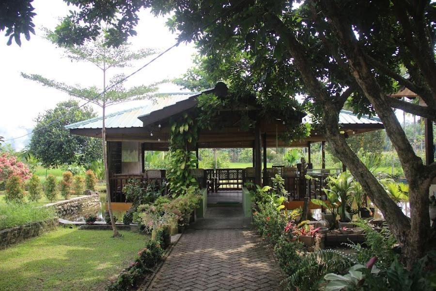 Ambow Homestay Jungle Trekking & Village Tour Bukit Lawang Bagian luar foto
