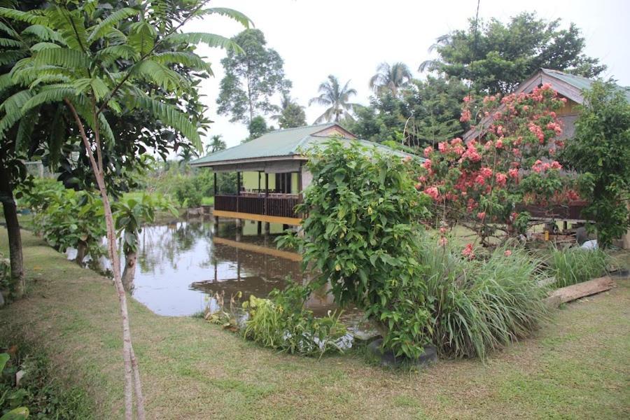 Ambow Homestay Jungle Trekking & Village Tour Bukit Lawang Bagian luar foto