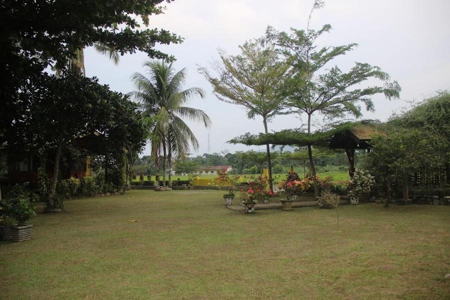 Ambow Homestay Jungle Trekking & Village Tour Bukit Lawang Bagian luar foto