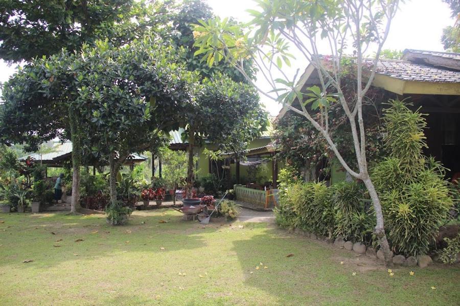Ambow Homestay Jungle Trekking & Village Tour Bukit Lawang Bagian luar foto