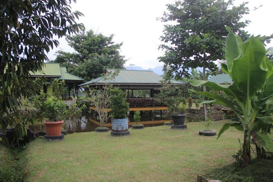 Ambow Homestay Jungle Trekking & Village Tour Bukit Lawang Bagian luar foto