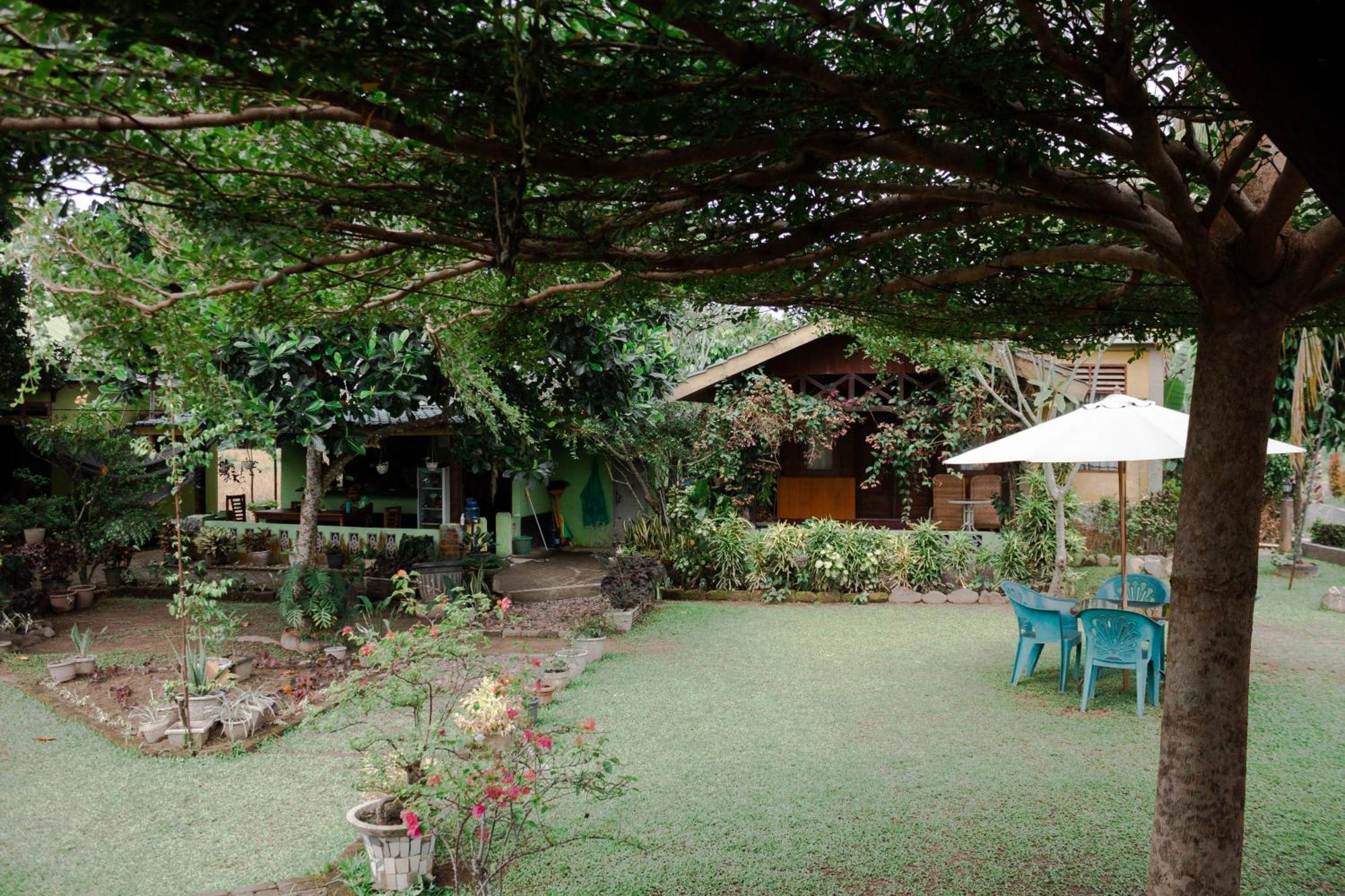 Ambow Homestay Jungle Trekking & Village Tour Bukit Lawang Bagian luar foto
