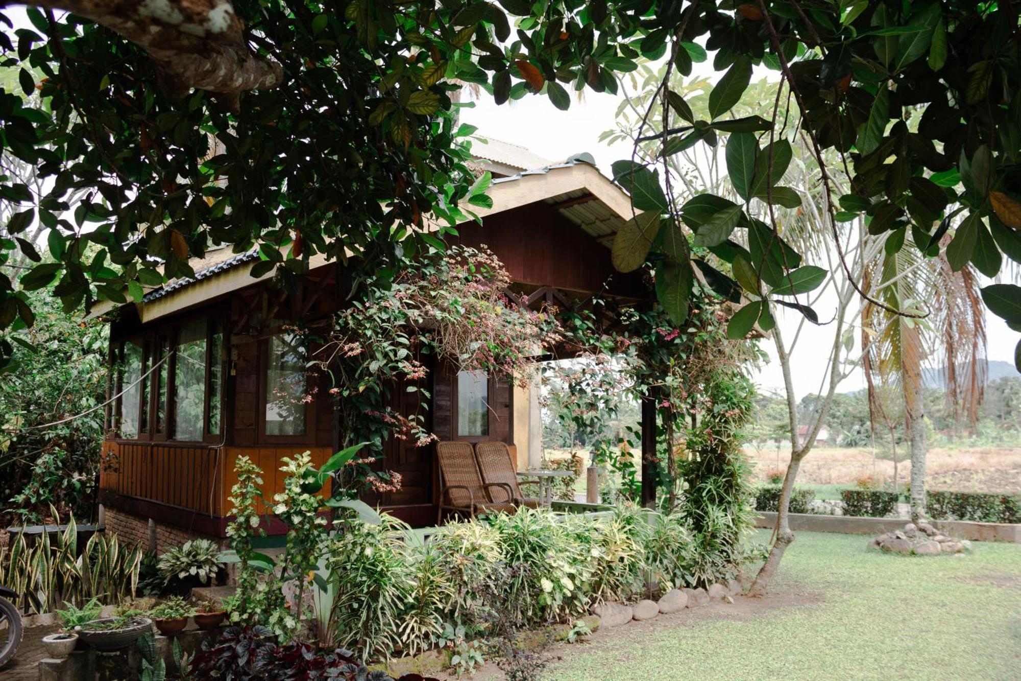Ambow Homestay Jungle Trekking & Village Tour Bukit Lawang Bagian luar foto