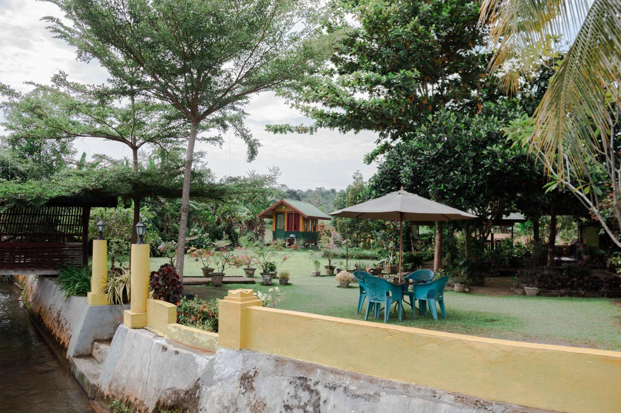 Ambow Homestay Jungle Trekking & Village Tour Bukit Lawang Bagian luar foto