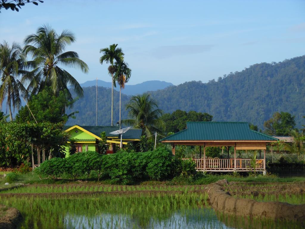 Ambow Homestay Jungle Trekking & Village Tour Bukit Lawang Bagian luar foto