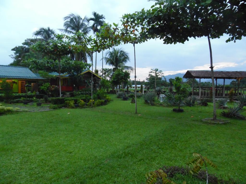 Ambow Homestay Jungle Trekking & Village Tour Bukit Lawang Bagian luar foto