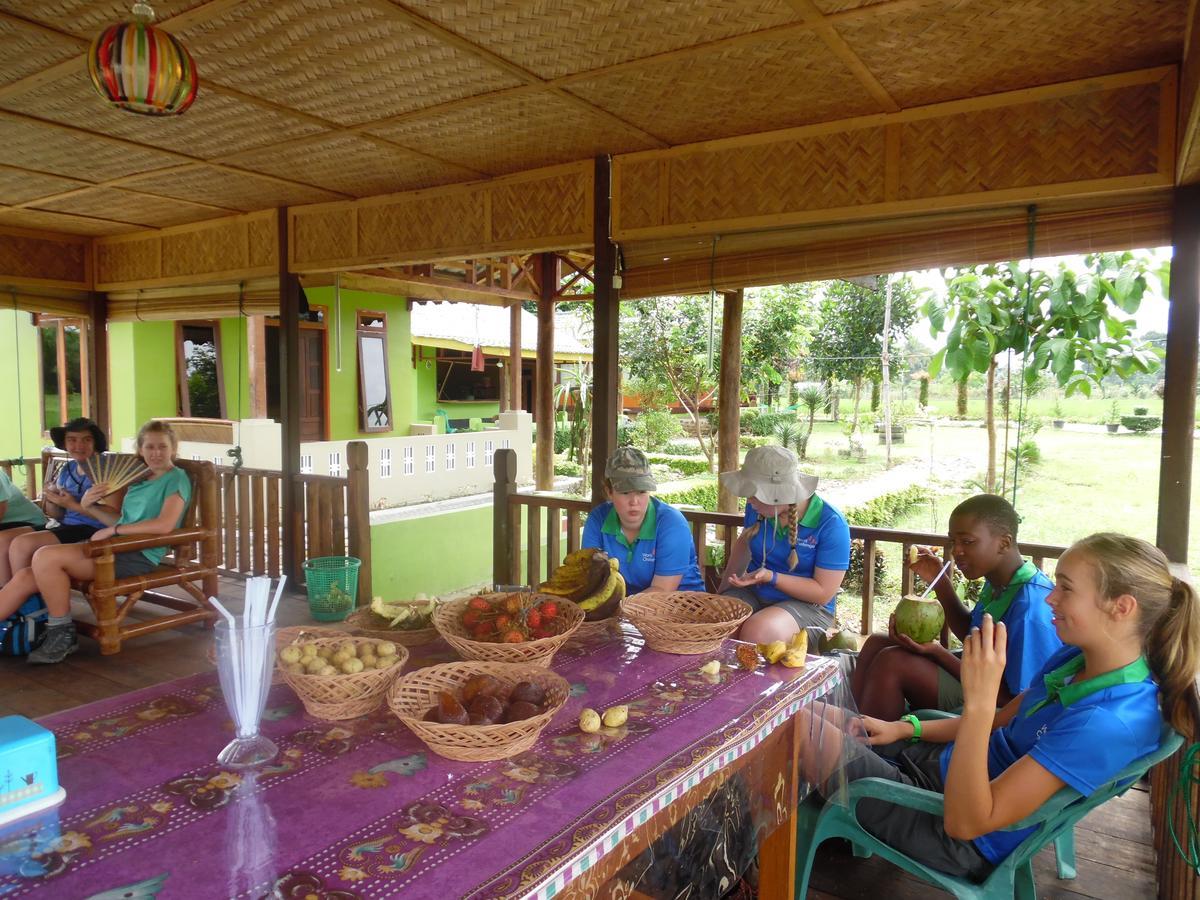 Ambow Homestay Jungle Trekking & Village Tour Bukit Lawang Bagian luar foto