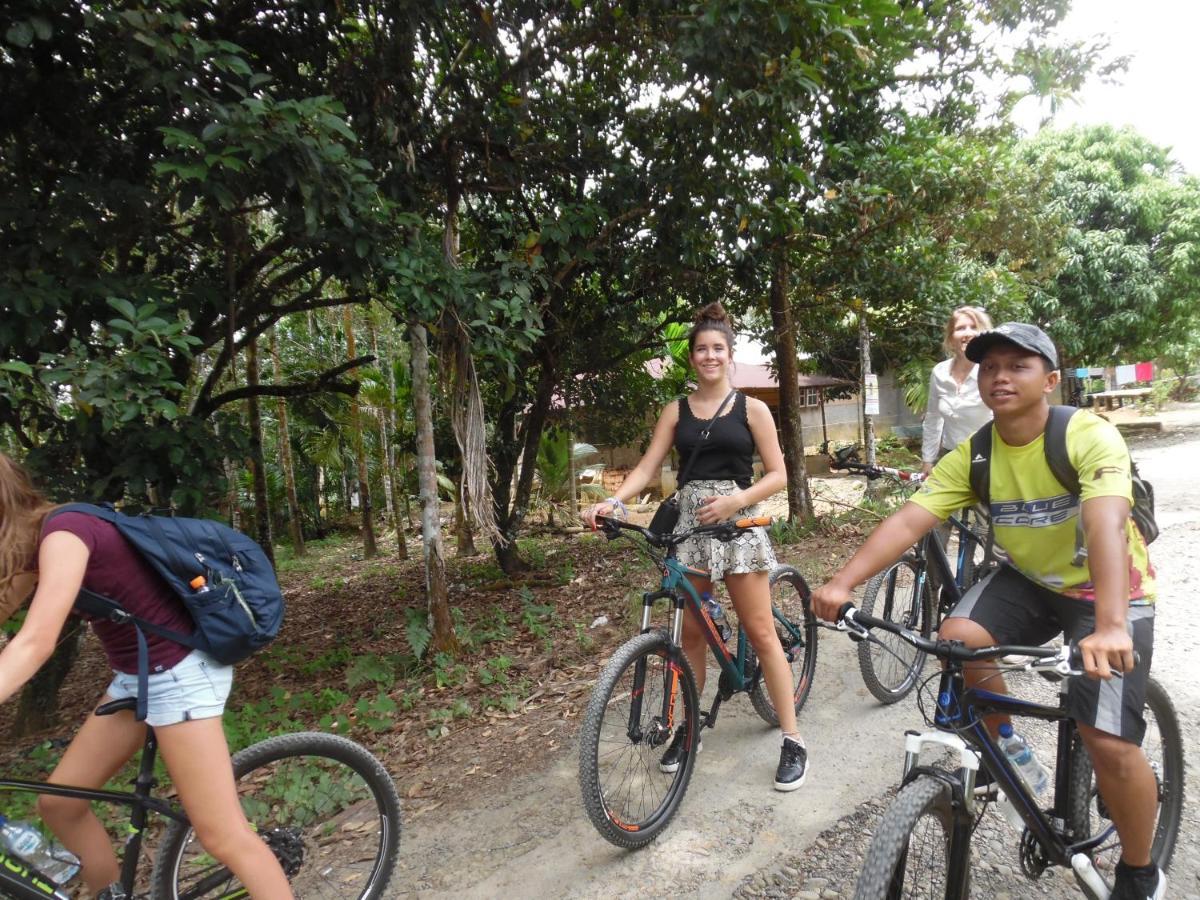Ambow Homestay Jungle Trekking & Village Tour Bukit Lawang Bagian luar foto