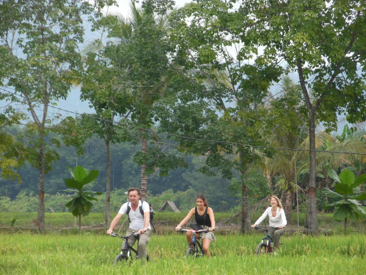 Ambow Homestay Jungle Trekking & Village Tour Bukit Lawang Bagian luar foto