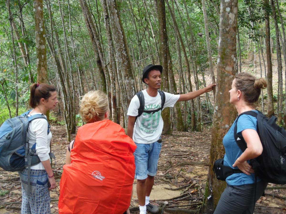 Ambow Homestay Jungle Trekking & Village Tour Bukit Lawang Bagian luar foto