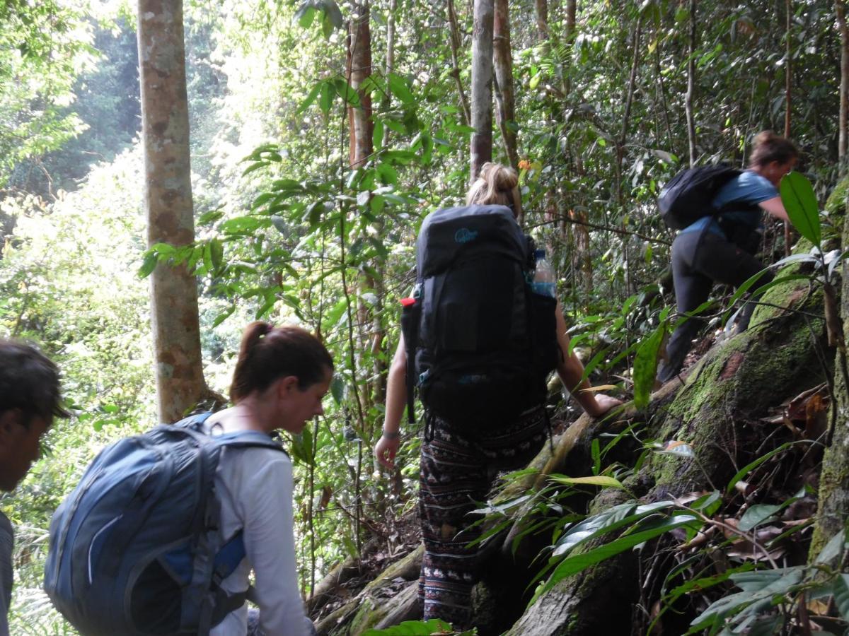 Ambow Homestay Jungle Trekking & Village Tour Bukit Lawang Bagian luar foto