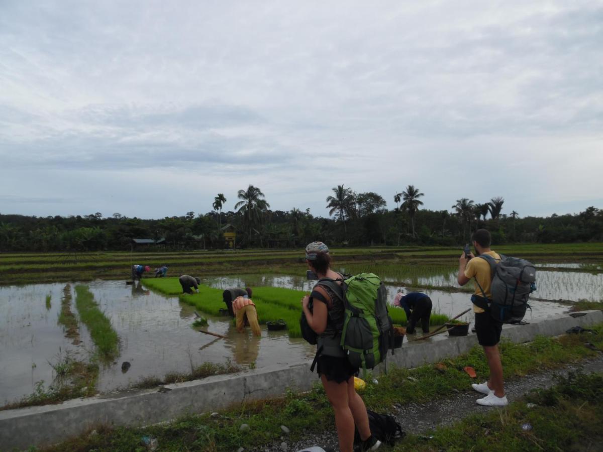Ambow Homestay Jungle Trekking & Village Tour Bukit Lawang Bagian luar foto